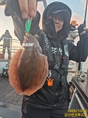 30일 군산썬크루즈호 갑오징어 조황입니다
