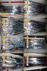 긴급 14석 보성3호 갈치 대치랑 풀치랑 같이 많이나옵니다~~~내일 긴급 8자리 가능합니다