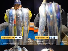 [통영] 긴급 통영보성호 낼 8자리여유 있습니다~~~2시출항합니다