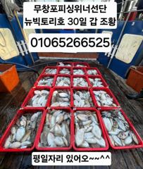 [쭈갑조황] 10/30 뉴빅토리호 갑오징어