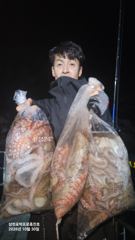삼천포문어낚시! 마릿수 세는 것도 포기! 선수들 오늘 미쳤네요ㅋㅋ 삼천포 박프로 흑진호