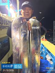 [진해] 갈치(텐빈. 텐야) 조황! (일요일 예약가능)