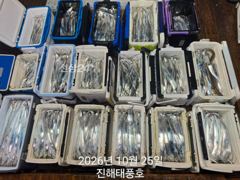 내만갈치 용가리급 씨알이 엄청 크네요. 일요일부터 예약가능.