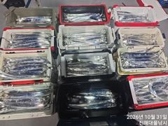 와우~31일새벽,내만칼치 걸면 3지4지용가리들 퍽퍽~씨알대박~일.월.화욜,예약가능