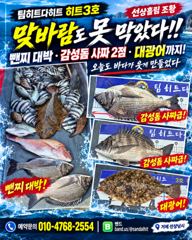 [거제] [선상흘림 히트3호] 맞바람에 뺀찌 폭발!! 사짜 감성돔에 대광…